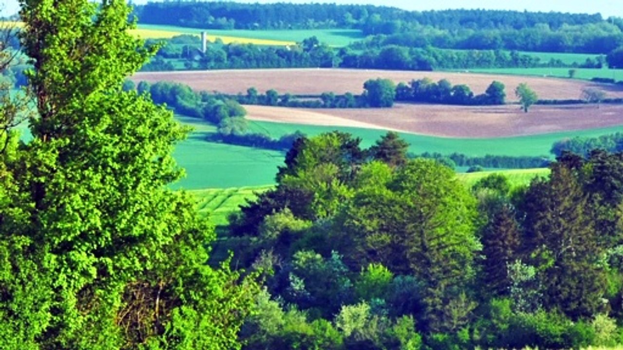 Paysage bourguignon