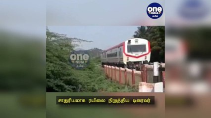 மதுரை: தண்டவாளத்தில் நின்ற மாடு... சாதுரியமாக ரயிலை நிறுத்திய டிரைவர்!