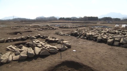 레고랜드 반대 시민단체 "출토 고인돌 수년째 방치...문화재청 직무유기" / YTN