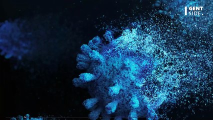 Qu'est-ce que la maladie de Carré, qui peut tuer votre chien ?