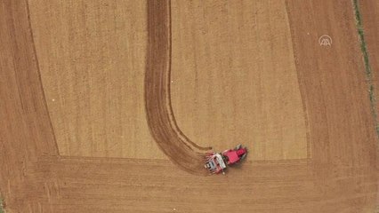 Kastamonu'da tekstil sektörü için kenevir üretimine başlanıyor