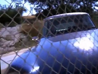 Mission: Impossible S04 E09