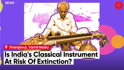 World Famous Music Instrument Veena At Risk Of Extinction
