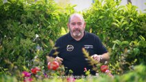 Le plan de tomates - comment bien planter ?
