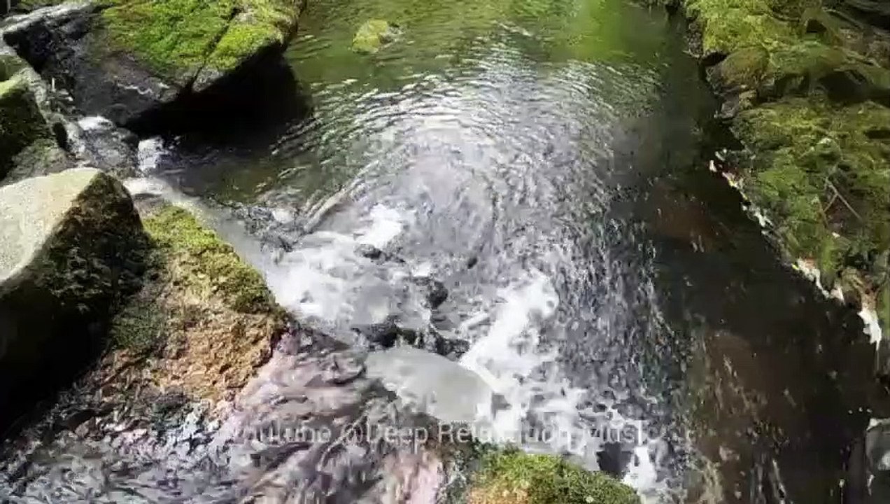 30 Minutes of Sleep & Relaxation Music for Focus | Meditation & affirmation | Deep Sllep Music | Study Music | Yoga Music