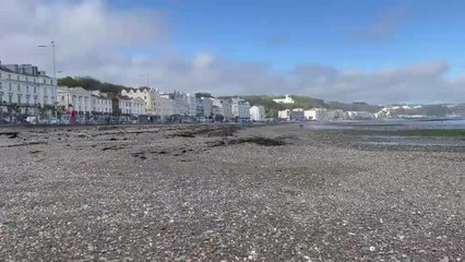 Turhan Çömez'in İddiası: "Kılıçdaroğlu Açıkladıktan 3 Ay Sonra Man Adasındaki Şirket Kapanmış"