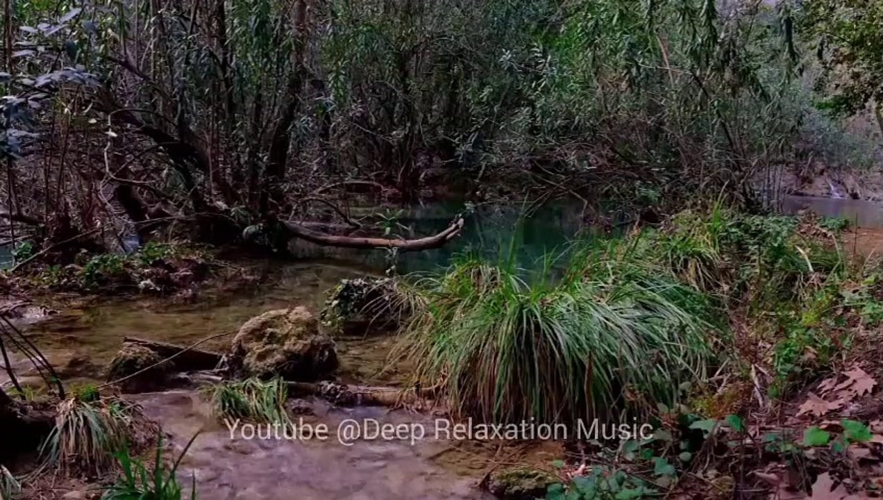 30 Minutes of Sleep & Relaxation Music for Focus | Meditation & affirmation | Deep Sllep Music | Study Music | Yoga Music