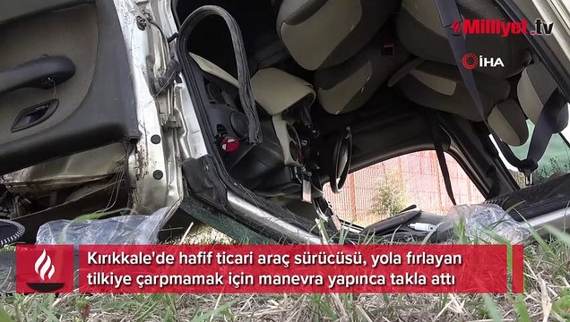 Tilkiye çarpmamak için manevra yapan araç takla attı! Yaralılar var
