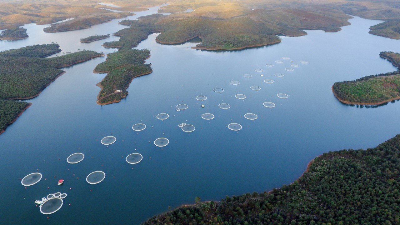Caviar de Madagascar : un produit de luxe dans l’un des pays les plus pauvres du monde
