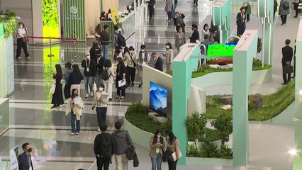 7년 만에 열린 세계산림총회..."숲의 위기는 인간의 위기" / YTN