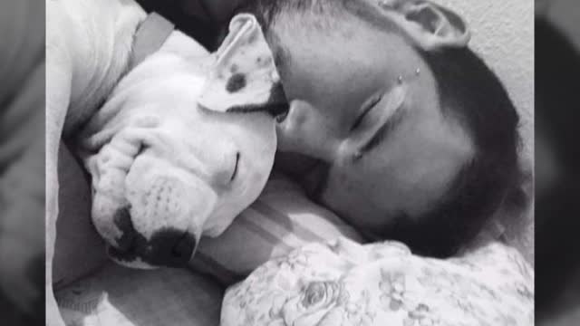 La muerte a dentelladas de un joven reabre el debate sobre las razas potencialmente peligrosas