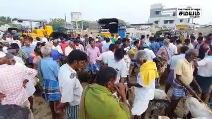 செம்மறி ஆடுகள் விற்பனை ஜோர்: களைகட்டிய ரம்ஜான் கொண்டாட்டம்!