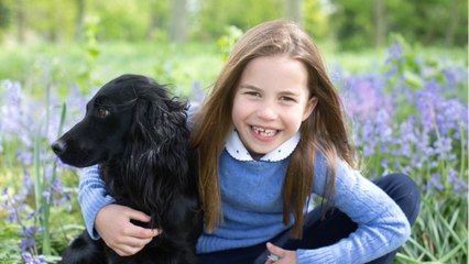 GALA VIDEO - Princesse Charlotte : son destin changé avant même sa naissance