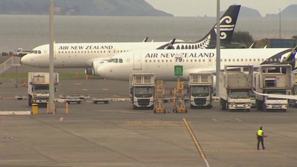 뉴질랜드, 2년 만에 국경 개방...태국은 PCR 검사 폐지 / YTN