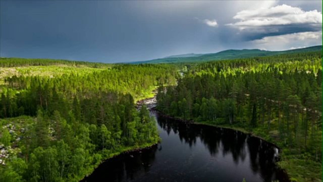 Experts Say Forests Could Begin Emitting Carbon Dioxide