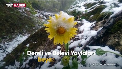 Amasya'da mayıs ayında kar sürprizi: Kartpostallık görüntüler oluştu