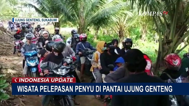 Padat! Ratusan Warga Mengunjungi Area Pelepasan Penyu Hijau di Pantai Ujung Genteng