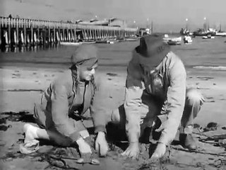 Preview Clip | Primrose Path | Warner Archive