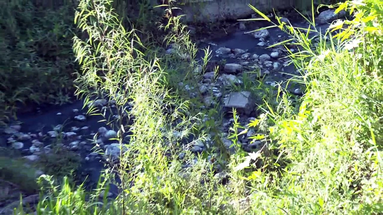 OROMPAS detuvo la fuga de aguas negras en Jardi...