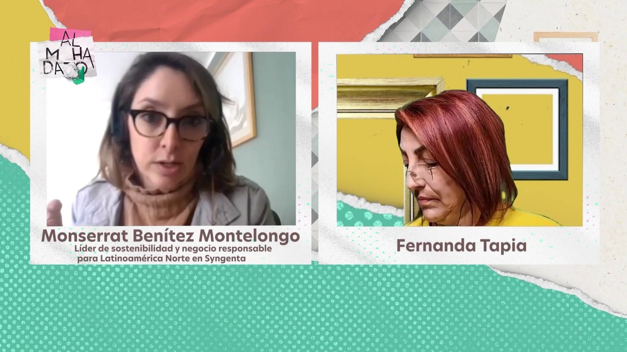 Entrevista SYNGENTA - Almohadazo Casero