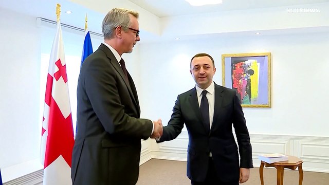 Грузия передала ЕС первую часть опросника для процедуры вступления в союз