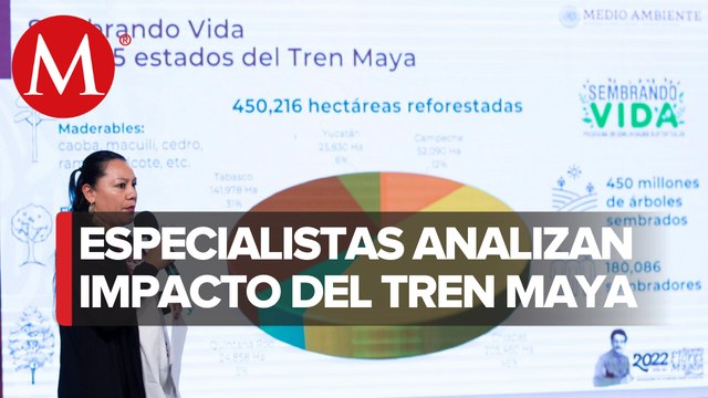 Cuatro tramos del Tren Maya carecen de permisos ambientales definitivos: Semarnat