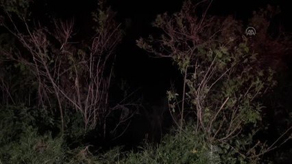 Otomobilin Tunca Nehri'ne düşmesi sonucu 2'si ağır 3 kişi yaralandı