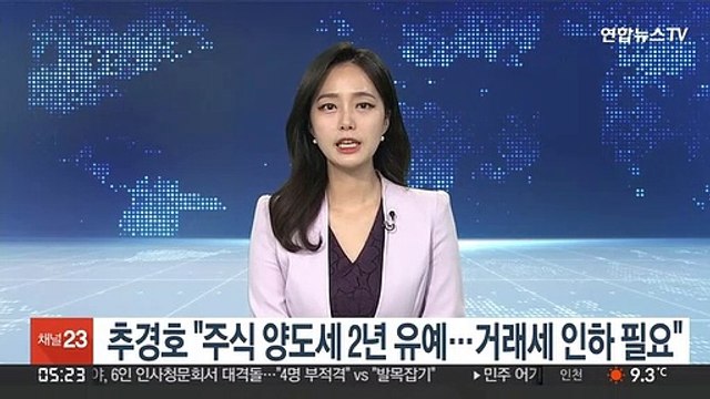 추경호 주식 양도세 2년 유예…거래세 인하 필요