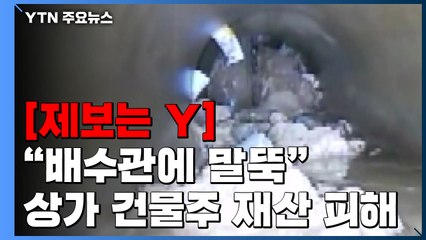 [제보는Y] 학교 공사 중 배수관에 말뚝 박아 침수 피해...당국은 '책임 떠넘기기' / YTN