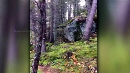If this was not recorded in the camera, then no one would know that this could happen. Amazing Videos Recorded
