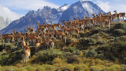 New documentary series presents nature like you've never seen