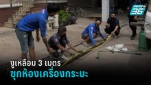 งูเหลือม 3 เมตร ซุกห้องเครื่องกระบะ