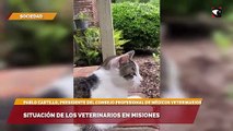 Situación de los veterinarios en Misiones