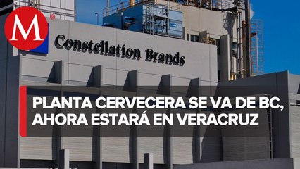 Constellation Brands se instalará en Veracruz tras cancelar proyecto en Mexicali