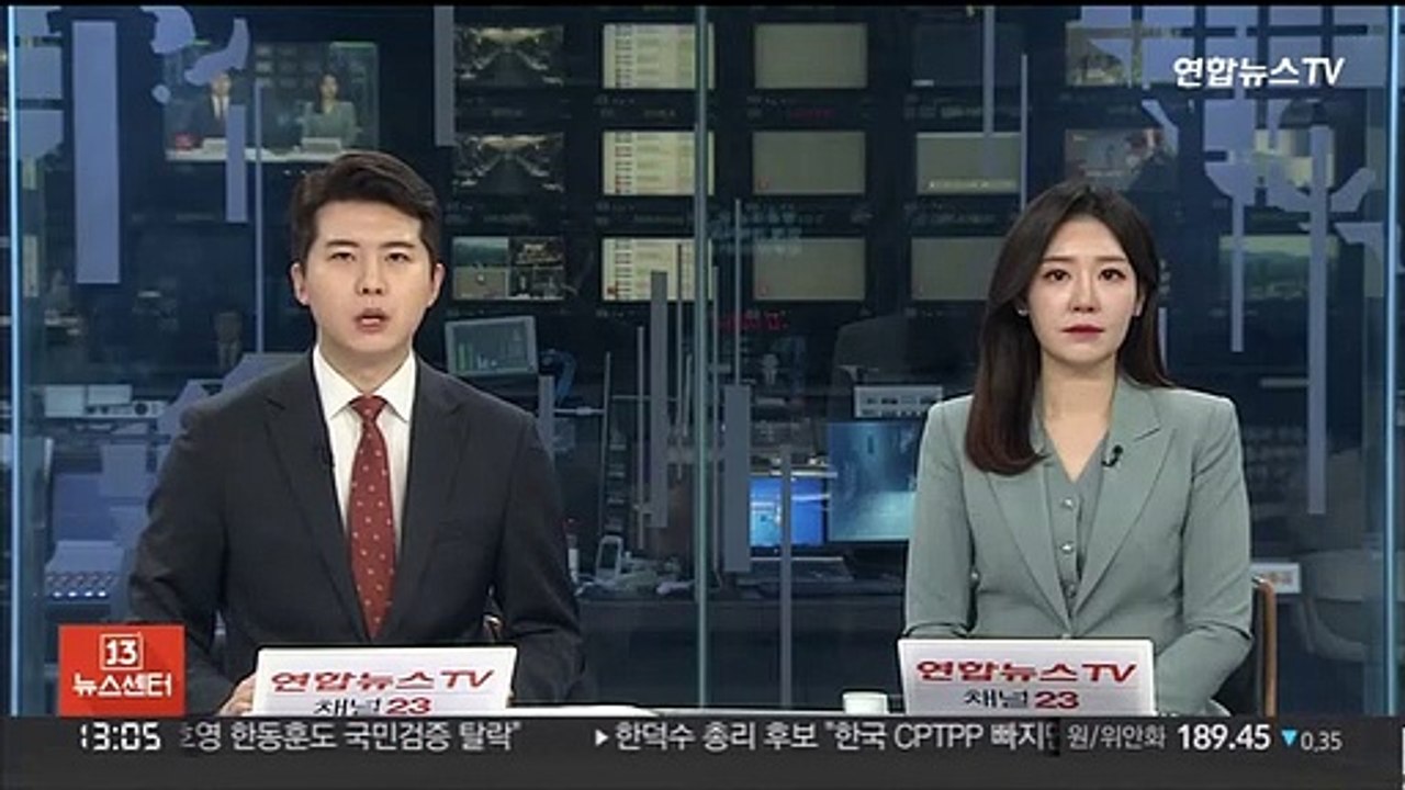 "입국절차 완화·면세 한도 상향"…관광 활성화 요청