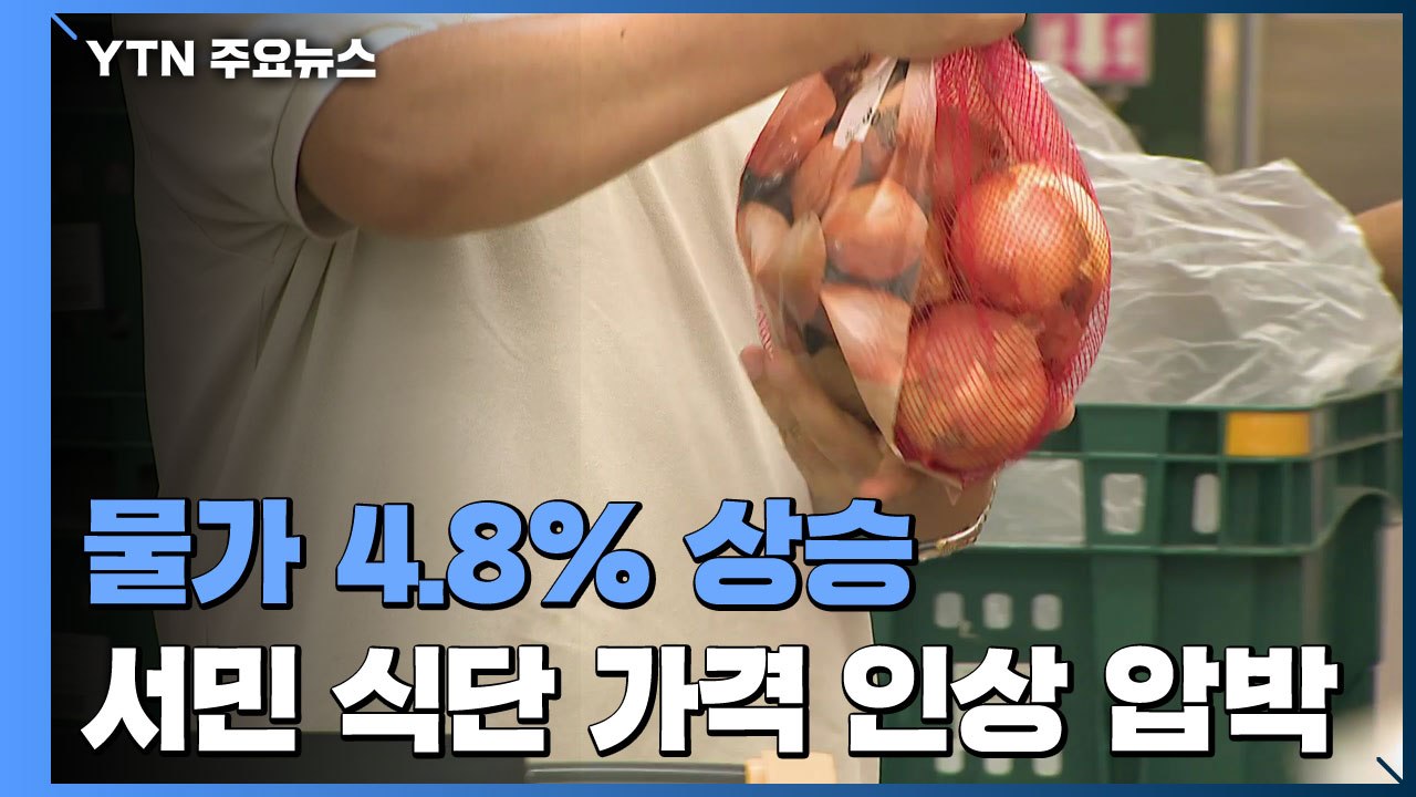 물가 4.8% 상승 '13년 만에 최고'..."가격 인상 압박" / YTN