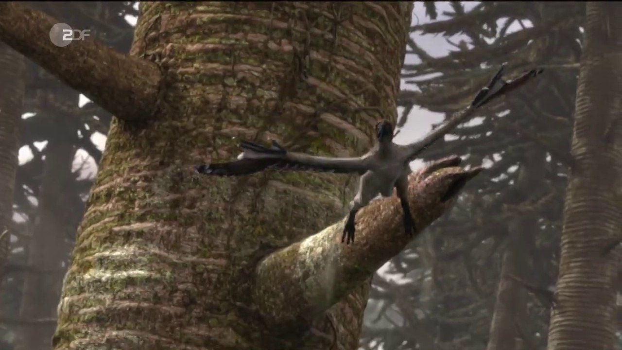 Terra X - Der Dino-Planet 3/3 - Gefiederte Drachen