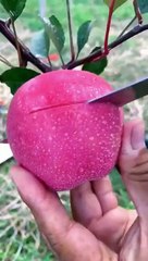 Fruits Best Oddly Satisfying Video for Stress Relief #Shorts