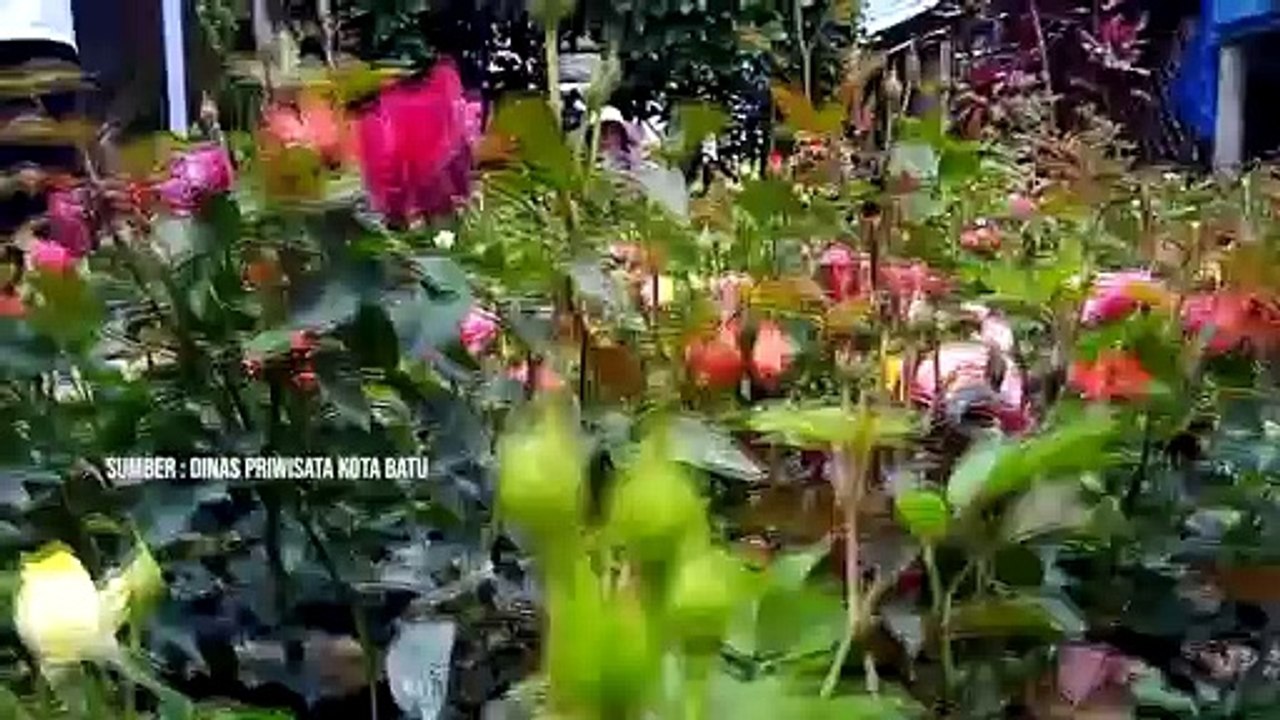 Desa Sidomulyo