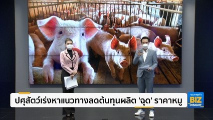 ปศุสัตว์เร่งหาแนวทางลดต้นทุนผลิต ‘ฉุด’ ราคาหมู