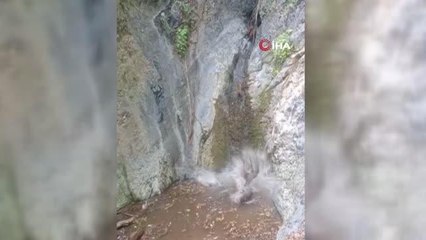 Yaban domuzları metrelerce yükseklikten böyle suya atladı