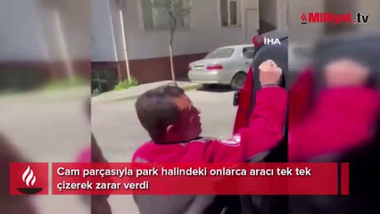 Cam parçasıyla onlarca aracı çizdi