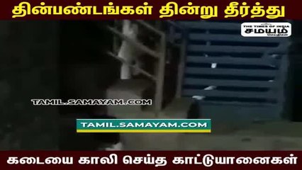 கடையை உடைத்து ஹார்லிக்ஸ் சாப்பிட்ட காட்டு யானைகள்; வைரல் வீடியோ...!