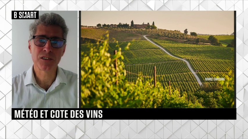 La météo affecte-t-elle la cote des vins ? 