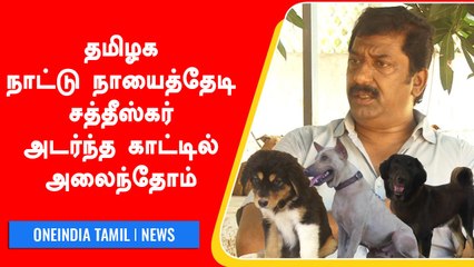 அழிவின் விளிம்பில் உள்ள Indian Dogs Breed-களை  இந்தியா முழுவதும் தேடும் ஆர்வலர் | Oneindia Tamil