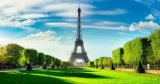 Paris : les arbres situés près de la tour Eiffel ne seront finalement pas abattus