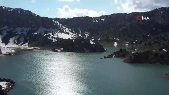 Sarp dağlarda yetişen eşsiz lezzet: 'Çiriş otu'