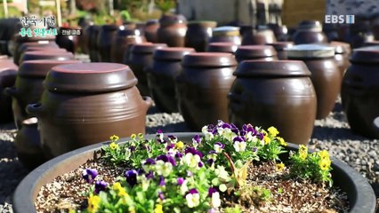 한국기행 - Korea travel_봄을 맛볼지도 2부- 득량만 두 여자_#002