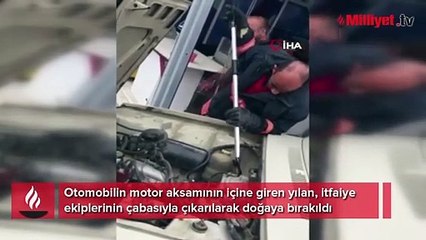Araç motoruna giren yılan paniğe neden oldu!