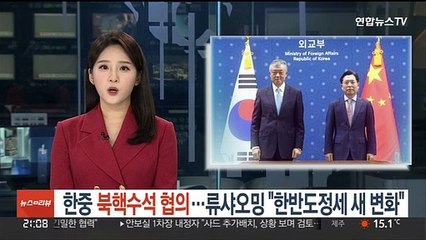 한중북핵수석 대면협의…류샤오밍 "한반도 정세 새 변화"